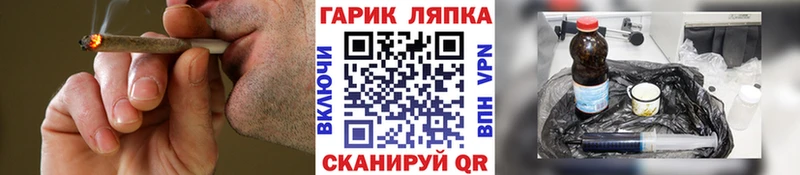 ссылка на мегу зеркало  Новохопёрск  ГАШИШ индика сатива 