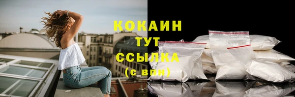 соль ск Горняк