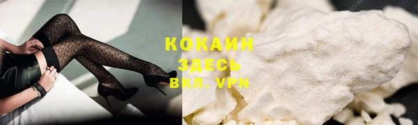 ПСИЛОЦИБИНОВЫЕ ГРИБЫ Нея