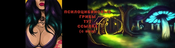 мет Нефтекумск
