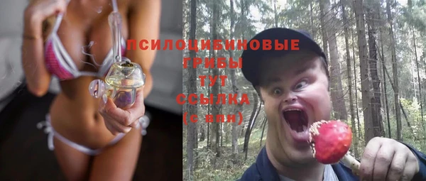 ешки Горнозаводск