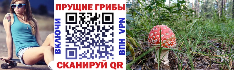 где продают mega ссылки Галлюциногенные грибы MAGIC MUSHROOMS Новохопёрск